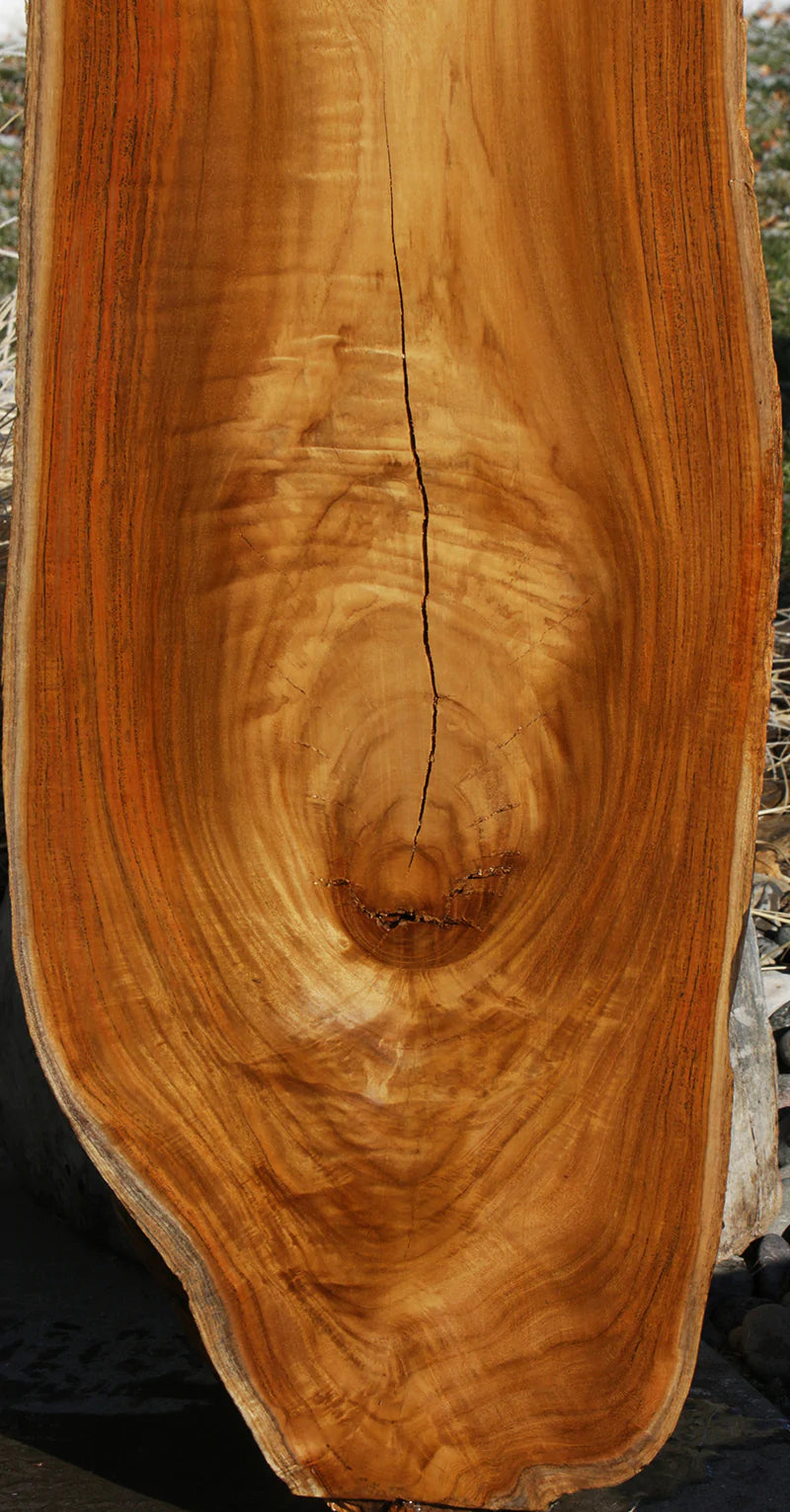 Genuine Teak Live Edge Slab (Freight Shipping Required)