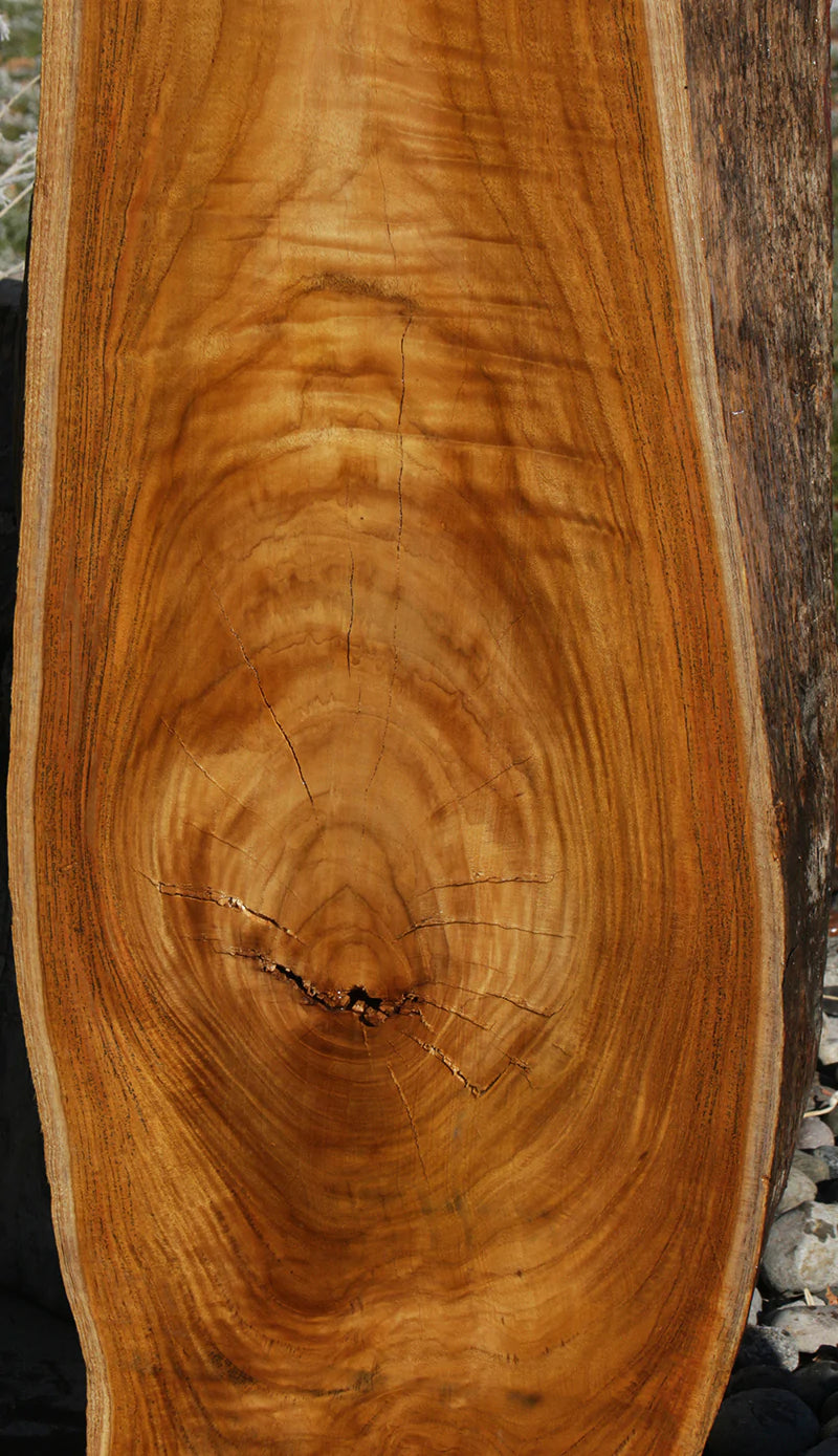 Genuine Teak Live Edge Slab (Freight Shipping Required)