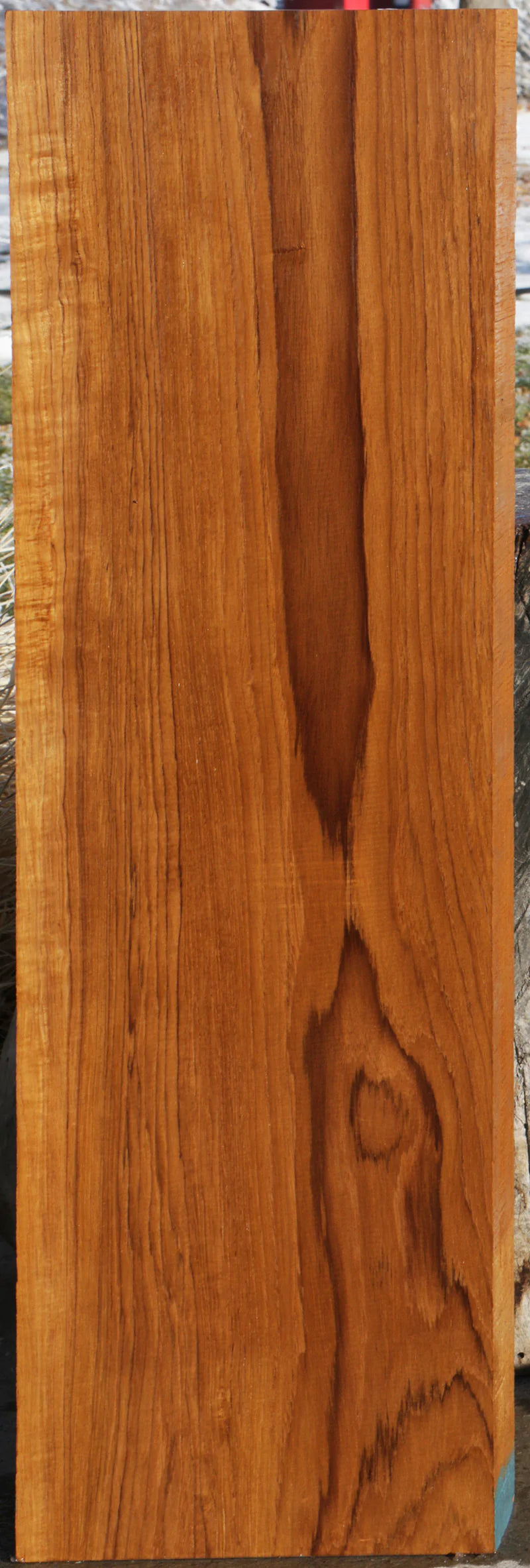 Burma Teak Lumber