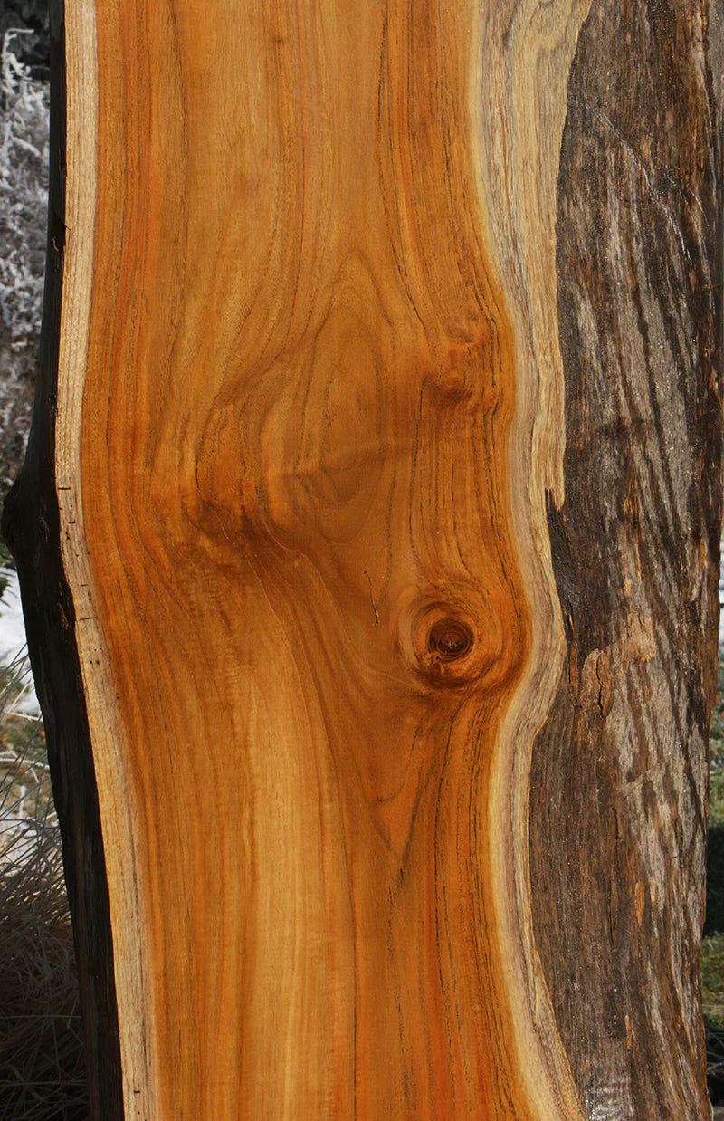 Genuine Teak Live Edge Slab (Freight Shipping Required)