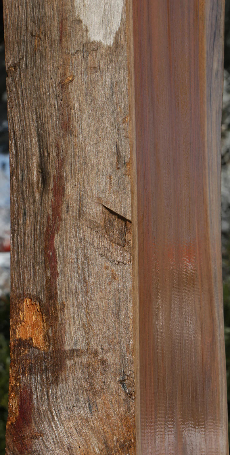 Genuine Teak Live Edge Slab (Freight Shipping Required)